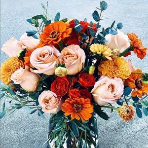 Meet your Posher, Priscilla